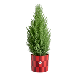 xmas blocks & stripes 15cm cranberry red